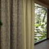 ufasma Zakar 'Ciaz' diathesimo se 3 Apoxroseis